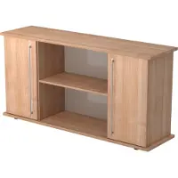 Bümö office Sideboard mit 2 Flügeltüren