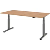 Bümö Schreibtisch elektrisch XDSM - Gestell: Graphit, Nachbildung: Nussbaum, Größe: 200 x 100 cm
