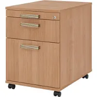 Bümö office Rollcontainer - mit Hängeregistratur