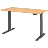 Bümö Schreibtisch elektrisch XMKA - Nachbildung: Buche, Größe: 160 x 80 cm, Gestell: Graphit
