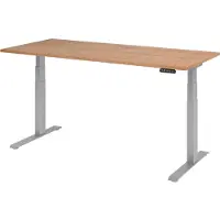 Bümö Schreibtisch elektrisch XDKB - Gestell: Silber, Nachbildung: Nussbaum, Größe: 180 x 80 cm