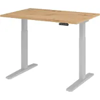 Bümö Schreibtisch elektrisch XMKA - Gestell: Silber, Nachbildung: Asteiche, Größe: 120 x 80 cm