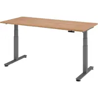 Bümö Schreibtisch elektrisch XDSM - Gestell: Graphit, Nachbildung: Nussbaum, Größe: 180 x 80 cm
