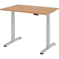 Bümö Schreibtisch elektrisch XDSM - Gestell: Silber, Größe: 120 x 80 cm, Nachbildung: Nussbaum