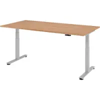 Bümö Schreibtisch elektrisch XDSM - Gestell: Silber, Nachbildung: Nussbaum, Größe: 200 x 100 cm