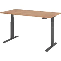 Bümö Schreibtisch elektrisch XDKB - Größe: 160 x 80 cm, Gestell: Graphit, Nachbildung: Nussbaum