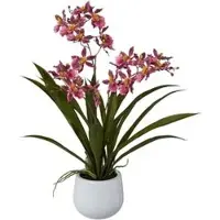 Creativ Green Kunstblume Cambria-Orchidee, dunkelrosa, im Keramik-Topf, Höhe 50 cm