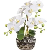Creativ Green Kunstblume Orchidee, Phalaenopsis, weiß, in silberner Ovalvase, Höhe 30 cm