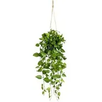 Creativ Green Kunstpflanze Philodendronhänger, im Topf, Höhe 75 cm