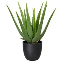 Creativ Green Kunstpflanze Aloe Vera, im Topf, Höhe 33 cm