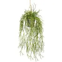 Creativ Green Kunstpflanze Rhipsalishänger, im Topf, Höhe 60 cm