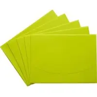 Pagna Dokumententasche Wallet 21007-17, A4, aus Kunststoff, lindgrün, für 100 Blatt, 5 Stück