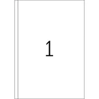 Blana Etiketten, A4, 500 Blatt, 200x297mm