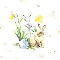 Home , World of Easter, Cocktail-Servietten aufgefaltetes Maß 25 cm x 25 cm, im Viertelfalz, 20 Stück pro Pack, 12 Pack pro Karton