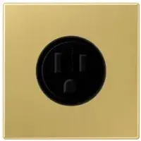 JUNG Steckdose 1f ms mt LS UP IP20 ZP NEMA ME2521-15C