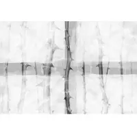 Architects Paper Fototapete "Atelier 47 Thorn Art 2" floral glatt Vlies, Wand, Schräge, Decke