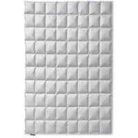 Sanders Kauffmann Kauffmann Eiderdaunendecke Exclusive medium - 135x200cm