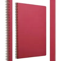 Clairefontaine 5x Spiralbuch Age Bag A4 kariert 50 Blatt - Rot 781420C