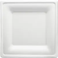 Wisefood 50 Teller - Zuckerrohr Teller - 16 cm (quadratisch, weiß) Bagasse