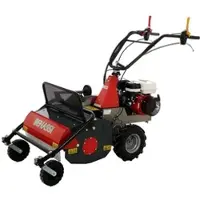 Benassi T 603 - Professioneller Schlegelmulcher mit Y-Messern - Hondamotor GX200