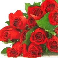 Home Fashion , Bunch of Roses, Lunch-Servietten aufgefaltetes Maß 33 cm x 33 cm, im Viertelfalz, 20 Stück pro Pack, 12 Pack pro Karton