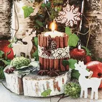 Home Fashion , Cozy Decoration, Cocktail-Servietten aufgefaltetes Maß 25 cm x 25 cm, im Viertelfalz, 20 Stück pro Pack, 12 Pack pro Karton