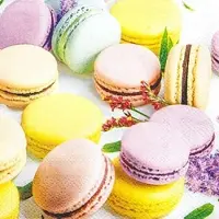 Home Fashion , Macarons, Cocktail-Servietten aufgefaltetes Maß 25 cm x 25 cm, im Viertelfalz, 20 Stück pro Pack, 12 Pack pro Karton
