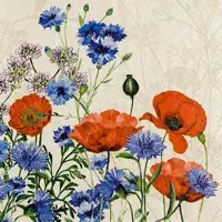 Home Fashion , Wild Poppies, Lunch-Servietten aufgefaltetes Maß 33 cm x 33 cm, im Viertelfalz, 20 Stück pro Pack, 12 Pack pro Karton