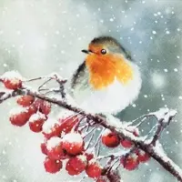 Home Fashion , Hello Robin, Cocktail-Servietten aufgefaltetes Maß 25 cm x 25 cm, im Viertelfalz, 20 Stück pro Pack, 12 Pack pro Karton