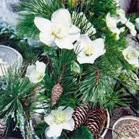 Home Fashion , Winter Rose, Lunch-Servietten aufgefaltetes Maß 33 cm x 33 cm, im Viertelfalz, 20 Stück pro Pack, 12 Pack pro Karton