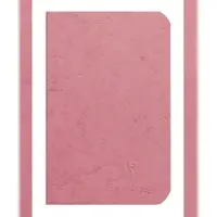 Clairefontaine 5x Age Bag, Notizheft 9x14 cm, 48 Blatt blanko 90g - Antikrosa 734106C