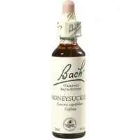 Nelsons Bach-Blüte Honeysuckle 20 ML