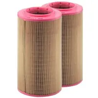 MANN-FILTER 2x Luftfilter C 17 237 für Fiat Peugeot Citroën Opel Ducato Boxer