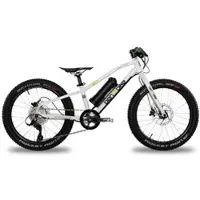 AMPERUM ben-e-bike Twenty E-Power / 20-Zoll