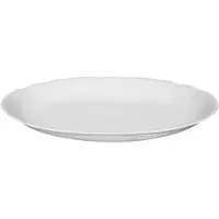Esmeyer 2 x Seltmann Platte oval 28 cm, Form: Salzburg, Dekor: 00003