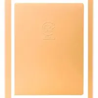 Clairefontaine 5x Skizzenheft Crok'Book A3 Hochformat 20 Blatt weiß 160g - Zufällige Farbsortierung 60336C