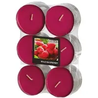 Papstar Maxi Duftteelichter, Wilde Himbeere, Ø 58 mm · 24 mm, "Flavour", 12 x 12 Stück