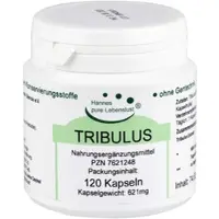 G & M Naturwaren Import GmbH & Co. KG Tribulus Kapseln