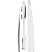 Picard & Wielpütz Solingen 12 x ANTARIS Fischmesser 6197