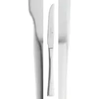 Picard & Wielpütz Solingen 12 x PASADENA Steakmesser 6178