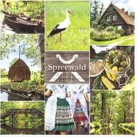 Home Fashion , Spreewald, Lunch-Servietten aufgefaltetes Maß 33 cm x 33 cm, im Viertelfalz, 20 Stück pro Pack, 12 Pack pro Karton