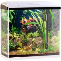 SWEETYPET Nano-Aquarium-Komplett-Set mit LED-Beleuchtung, Pumpe & Filter, 40 l