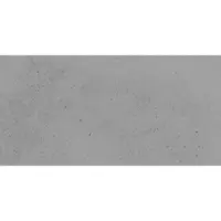 Fineza Project Bodenfliese grau 30x60 cm matt DAKSR371.1
