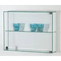 JTF-Vitrinen Hängevitrine Sammlervitrine Dialog 25W
