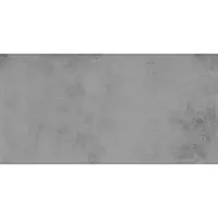 Fineza Project Bodenfliese grau 60x120 cm matt DAKV1371.1