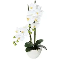 Creativ Green künstliche Pflanze Phalaenopsis, 50cm weiss, in Keramikschale 14,5x8,5cm weiss, Real Touch