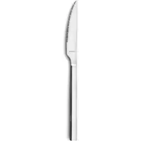 Amefa CARACTÈRE Steakmesser Vollheft - 12 Stück