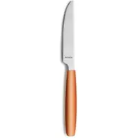 Amefa PIXEL Vorspeisen-/Dessertmesser Vollheft Mango - 12 Stück
