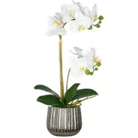 Creativ Green künstliche Pflanze Phalaenopsis im silbernen Keramiktopf, weiß, Real Touch, 48cm