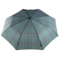 The bridge Regenschirm Ombrelli Umbrella Verde Check